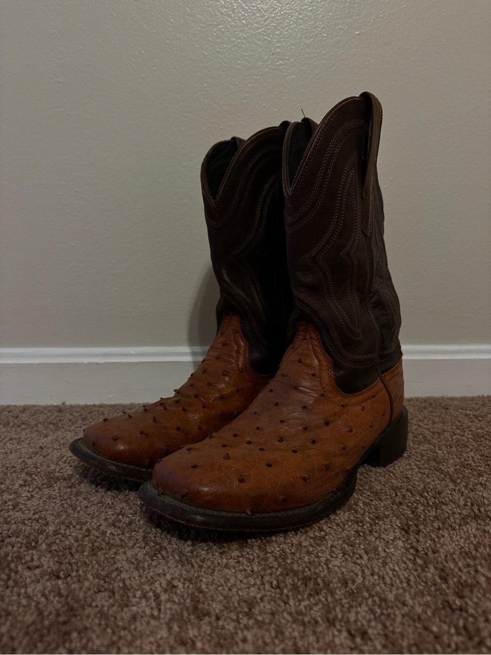 Men's Tecovas Ostrich Cowboy Boots
